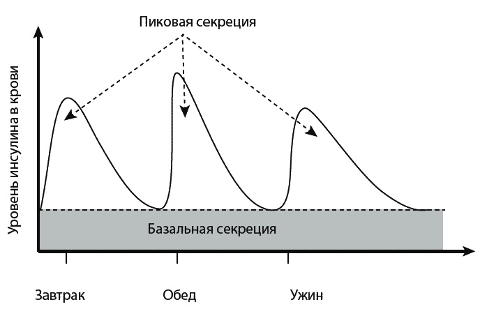 Сахарный диабет. 500 ответов на самые важные вопросы Сахарный диабет. 500 ответов на самые важные вопросы