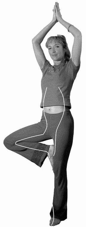 Золотые китайские упражнения для здоровья и долголетия Золотые китайские упражнения для здоровья и долголетия