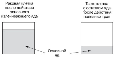 Рак. Практика исцеления и профилактика. Лечение ядами Рак. Практика исцеления и профилактика. Лечение ядами