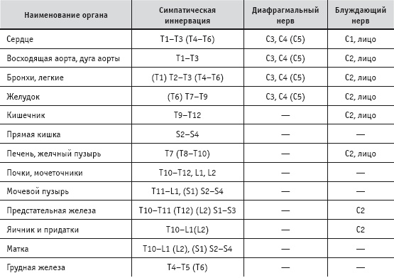 Массаж и лечебная физкультура Массаж и лечебная физкультура