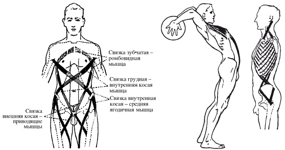 Массаж и лечебная физкультура Массаж и лечебная физкультура
