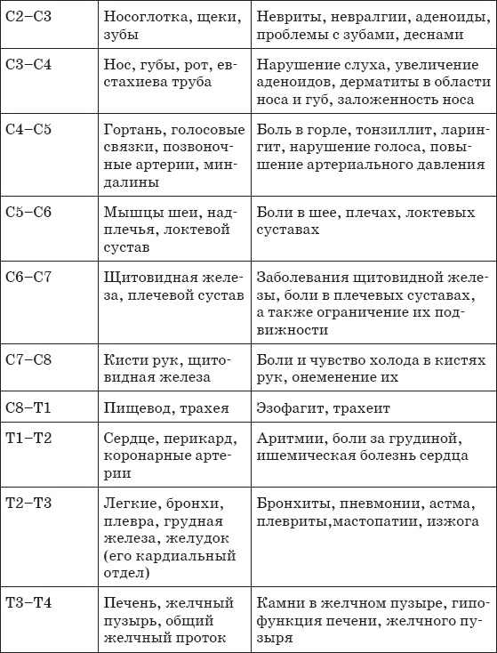 Первая скрипка позвоночника. Революционная методика лечения остеохондроза Первая скрипка позвоночника. Революционная методика лечения остеохондроза