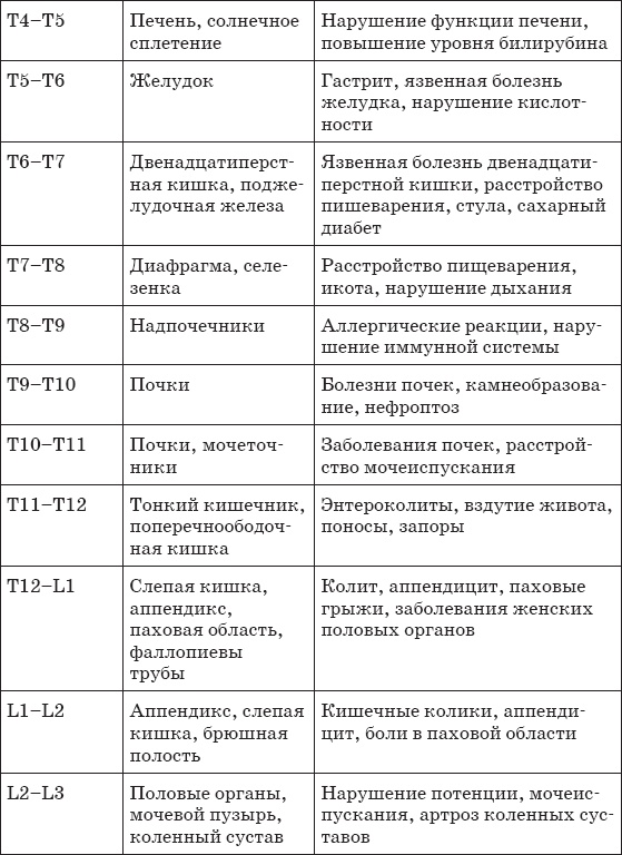 Первая скрипка позвоночника. Революционная методика лечения остеохондроза Первая скрипка позвоночника. Революционная методика лечения остеохондроза