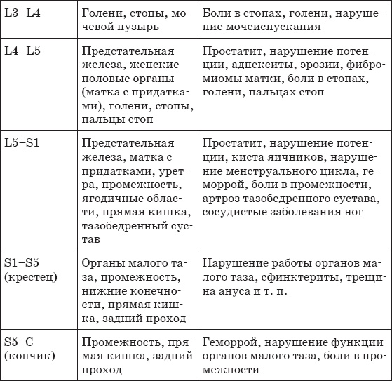 Первая скрипка позвоночника. Революционная методика лечения остеохондроза Первая скрипка позвоночника. Революционная методика лечения остеохондроза