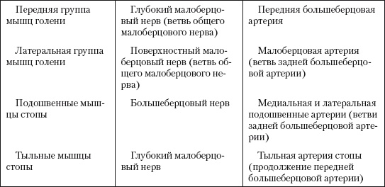 Атлас профессионального массажа Атлас профессионального массажа