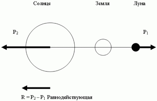 Азимут вечной молодости. Программа энергетической коррекции и регенерации живых клеток Азимут вечной молодости. Программа энергетической коррекции и регенерации живых клеток