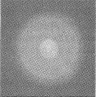 Огненный цветок. Методика ДФС Огненный цветок. Методика ДФС