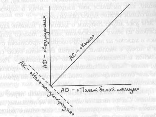 Огненный цветок. Методика ДФС Огненный цветок. Методика ДФС