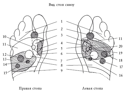 Здоровье ваших ног Здоровье ваших ног