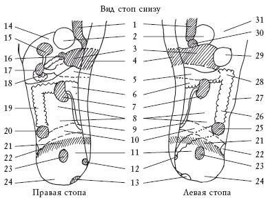Здоровье ваших ног Здоровье ваших ног