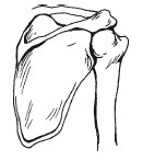 Позвоночник - ключ к здоровью Позвоночник - ключ к здоровью