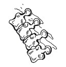 Позвоночник - ключ к здоровью Позвоночник - ключ к здоровью