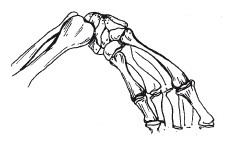 Позвоночник - ключ к здоровью Позвоночник - ключ к здоровью