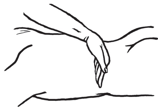 Энциклопедия массажа Энциклопедия массажа