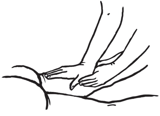 Энциклопедия массажа Энциклопедия массажа