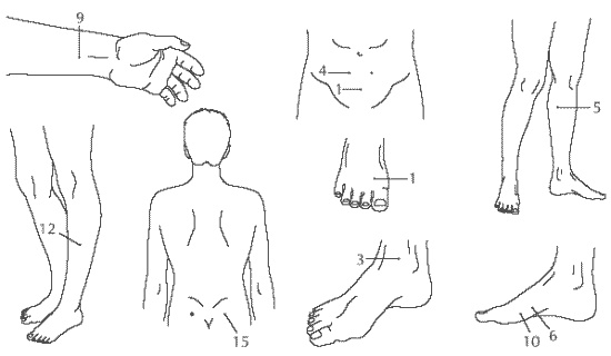 Здоровье мужчины после сорока Здоровье мужчины после сорока