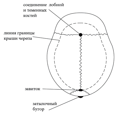 Экстренная помощь при травмах, болевых шоках и воспалениях. Опыт работы в чрезвычайных ситуациях Экстренная помощь при травмах, болевых шоках и воспалениях. Опыт работы в чрезвычайных ситуациях