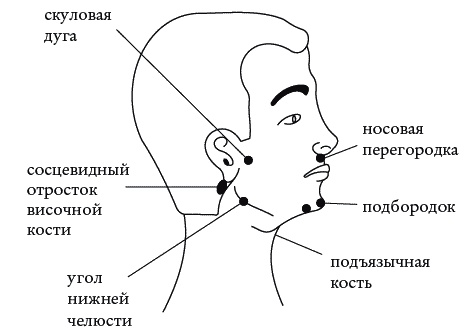 Экстренная помощь при травмах, болевых шоках и воспалениях. Опыт работы в чрезвычайных ситуациях Экстренная помощь при травмах, болевых шоках и воспалениях. Опыт работы в чрезвычайных ситуациях