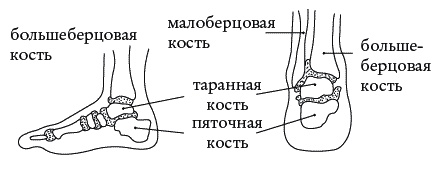 Экстренная помощь при травмах, болевых шоках и воспалениях. Опыт работы в чрезвычайных ситуациях Экстренная помощь при травмах, болевых шоках и воспалениях. Опыт работы в чрезвычайных ситуациях