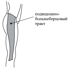 Экстренная помощь при травмах, болевых шоках и воспалениях. Опыт работы в чрезвычайных ситуациях Экстренная помощь при травмах, болевых шоках и воспалениях. Опыт работы в чрезвычайных ситуациях