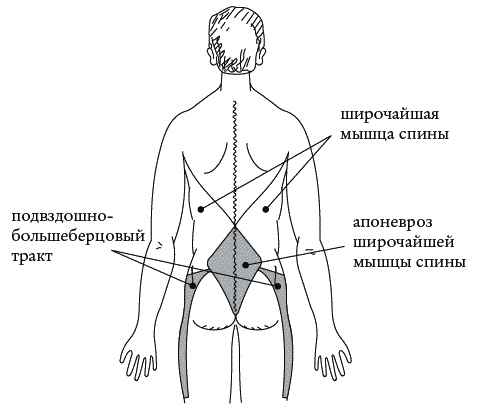 Экстренная помощь при травмах, болевых шоках и воспалениях. Опыт работы в чрезвычайных ситуациях Экстренная помощь при травмах, болевых шоках и воспалениях. Опыт работы в чрезвычайных ситуациях