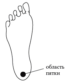 Экстренная помощь при травмах, болевых шоках и воспалениях. Опыт работы в чрезвычайных ситуациях Экстренная помощь при травмах, болевых шоках и воспалениях. Опыт работы в чрезвычайных ситуациях