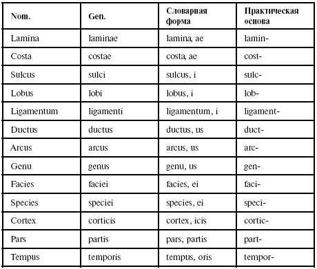 Латинский язык для медиков. Конспект лекций Латинский язык для медиков. Конспект лекций