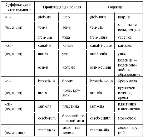 Латинский язык для медиков. Конспект лекций Латинский язык для медиков. Конспект лекций