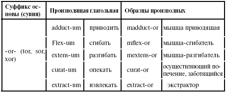Латинский язык для медиков. Конспект лекций Латинский язык для медиков. Конспект лекций