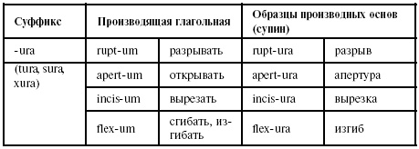 Латинский язык для медиков. Конспект лекций Латинский язык для медиков. Конспект лекций
