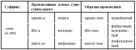 Латинский язык для медиков. Конспект лекций Латинский язык для медиков. Конспект лекций