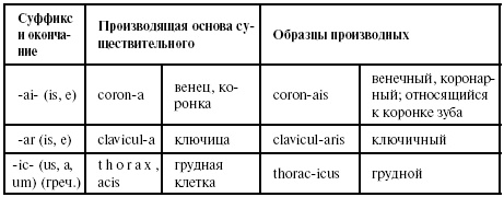 Латинский язык для медиков. Конспект лекций Латинский язык для медиков. Конспект лекций