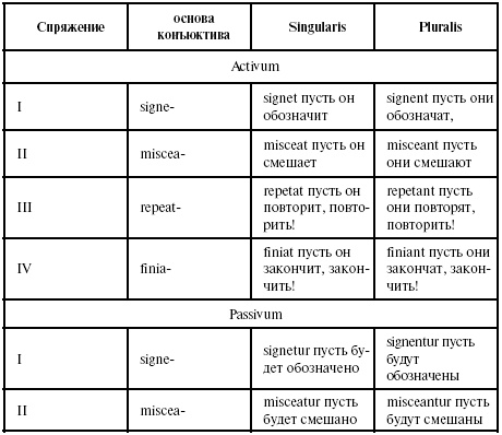 Латинский язык для медиков. Конспект лекций Латинский язык для медиков. Конспект лекций
