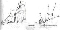 Энергетическая медицина Энергетическая медицина