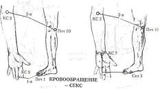 Энергетическая медицина Энергетическая медицина