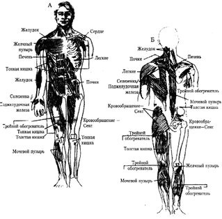 Энергетическая медицина Энергетическая медицина