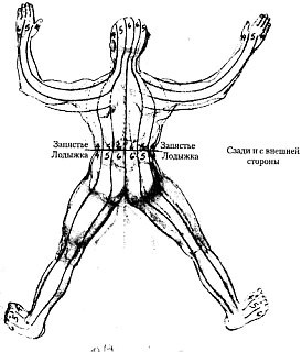 Энергетическая медицина Энергетическая медицина