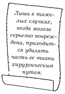 Щитовидная железа. Лучшие рецепты народной медицины от А до Я Щитовидная железа. Лучшие рецепты народной медицины от А до Я