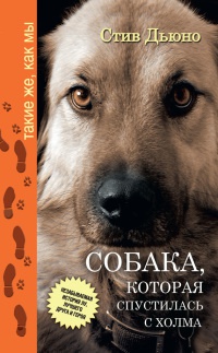 Собака, которая спустилась с холма. Незабываемая история Лу, лучшего друга и героя - Стив Дьюно - Читать книги онлайн | Слушать аудиокниги онлайн | Электронная библиотека books-lib.com