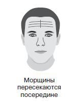 Курс начинающего лжеца от А до Я Курс начинающего лжеца от А до Я