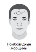 Курс начинающего лжеца от А до Я Курс начинающего лжеца от А до Я