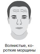 Курс начинающего лжеца от А до Я Курс начинающего лжеца от А до Я