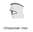 Курс начинающего лжеца от А до Я Курс начинающего лжеца от А до Я