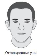 Курс начинающего лжеца от А до Я Курс начинающего лжеца от А до Я