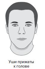 Курс начинающего лжеца от А до Я Курс начинающего лжеца от А до Я