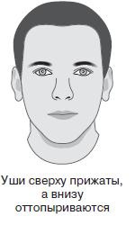 Курс начинающего лжеца от А до Я Курс начинающего лжеца от А до Я