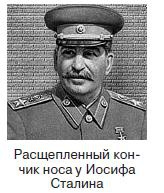 Курс начинающего лжеца от А до Я Курс начинающего лжеца от А до Я