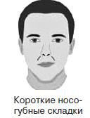 Курс начинающего лжеца от А до Я Курс начинающего лжеца от А до Я