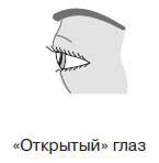 Ты - лжец. Как научиться обманывать и манипулировать другими людьми Ты - лжец. Как научиться обманывать и манипулировать другими людьми