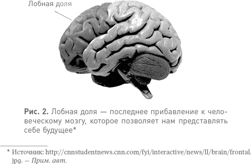 Спотыкаясь о счастье Спотыкаясь о счастье